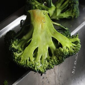 By working the soil we cultivate the sky. (Greetings from the vegetable kingdom)