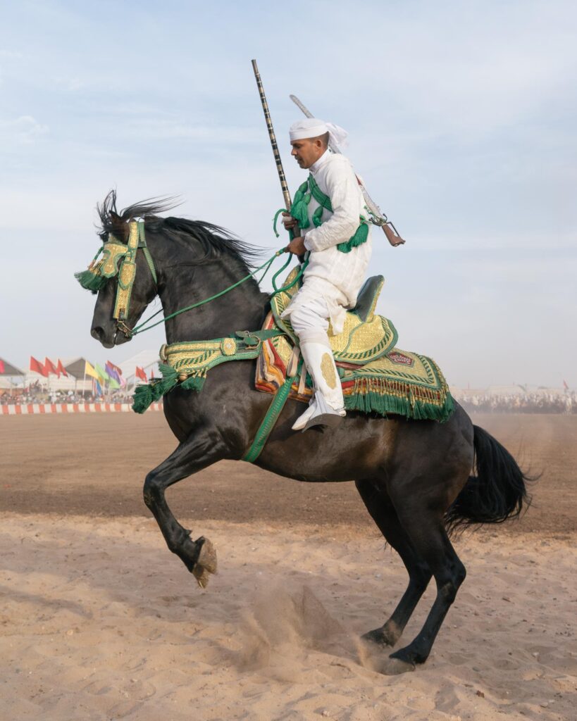 Untitled 4, from the series Fantasia