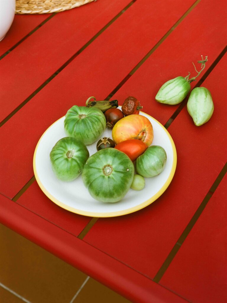 Spring