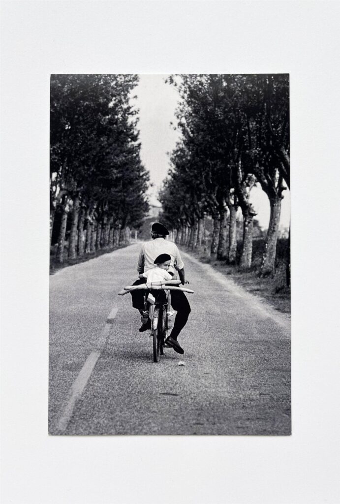 Cartolina Provence, 1955
