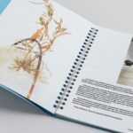 Catalogo Premio EARTH 2024
